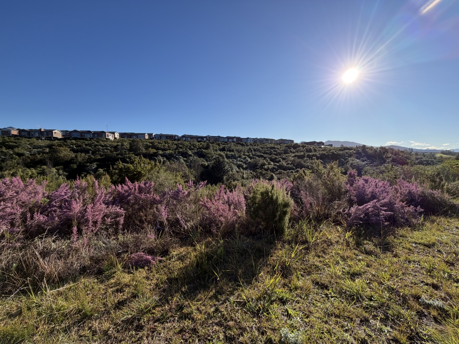 0 Bedroom Property for Sale in Welgelegen Western Cape